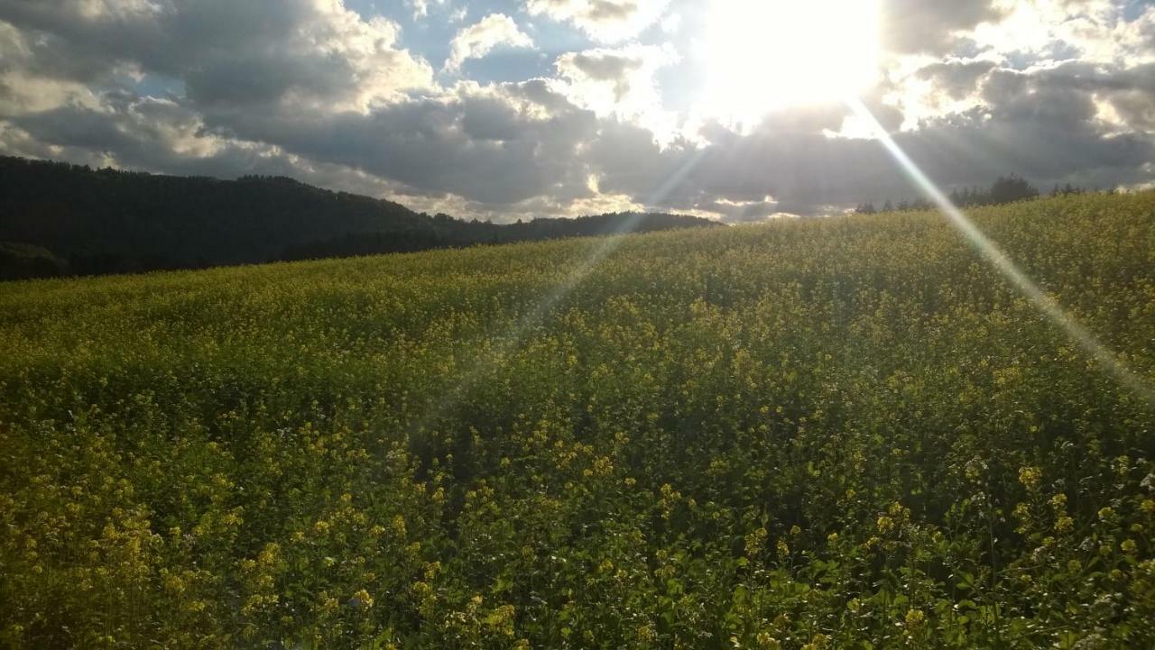 Blick In Die Suedeifel Biersdorf Exteriér fotografie